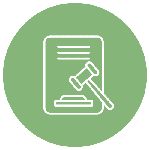 Audits and Expert Witness